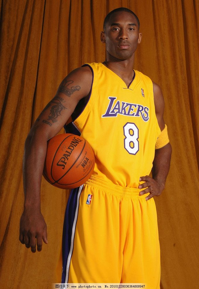 数字内容与 数字内容与